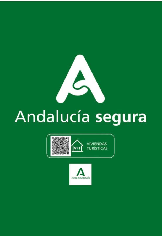 Cuarta Revuelta Alquiler Apartamento Sevilla